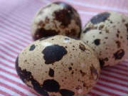 glossary_q/Quail_eggs.jpg