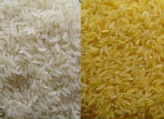 glossary_r/Rice.jpg