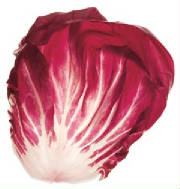 glossary_r/lettuce-Radicchio.jpg