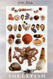 glossary_s/Shellfish_poster.jpg