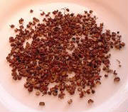 glossary_s/Szechuan_pepper.jpg