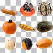 glossary_s/fruit-squash.jpg