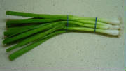 glossary_s/veg-Scallion.jpg