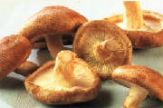 glossary_s/veg-mushroom-shiitake.jpg