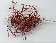 glossary_s/herb-saffron.jpg