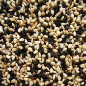 glossary_s/seed-sesame-B_W.jpg