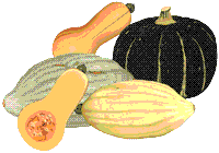 glossary_s/veg-squashes-winter.GIF