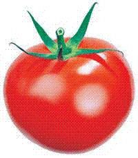 glossary_t/fruit-tomatoe.GIF
