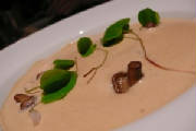 glossary_v/veloute_de_mousseron_.jpg