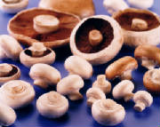 glossary_w/veg-mushroom-white.jpg