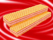 glossary_w/wafer_1.jpg