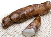 glossary_y/veg-yuca.jpg