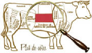 repertoire_boeuf/boeuf_plat_cotes_image.jpg