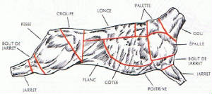 repertoire_gibier/gibier_chevreuil_detail.jpg