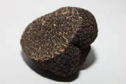 repertoire_legumes/champignon_truffe_noire_perigord.jpg