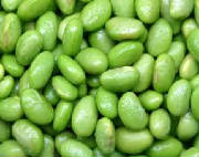 repertoire_legumes/legumes_pois_edamame_2.jpg