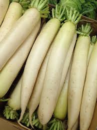 repertoire_legumes/legumes_daikon.jpg