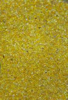 repertoire_legumes/legumes_quinoa_grains.jpg